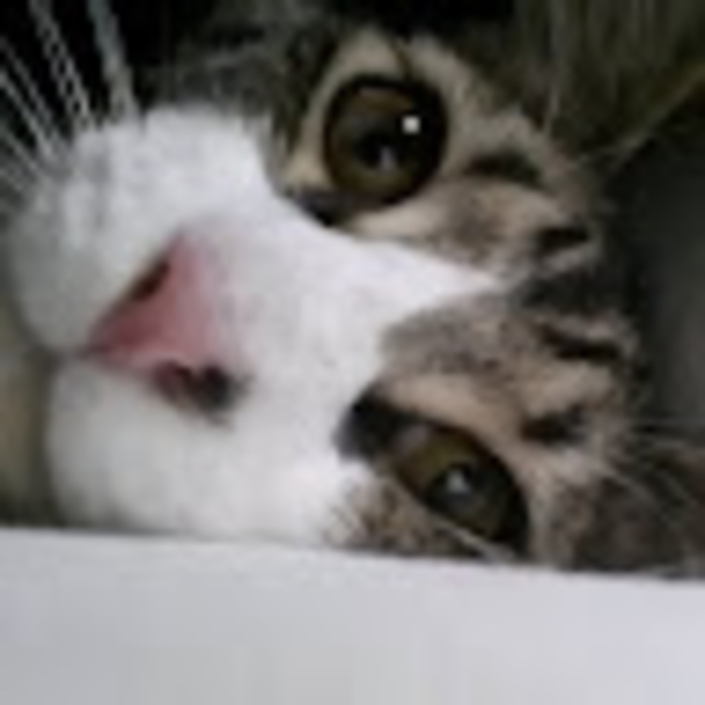 Meet your Posher, Mundane